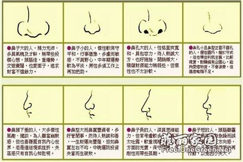 面相分析鼻子|面相五官分析全解图之鼻相图解大全讲解